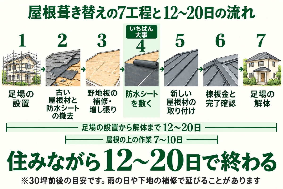 屋根葺き替えの7工程と工期を示した図。足場の設置、古い屋根材と防水シートの撤去、野地板の補修・増し張り、防水シートを敷く、新しい屋根材の取り付け、棟板金と完了確認、足場の解体の順に進み、屋根の上の作業は7〜10日、足場の設置から解体まで12〜20日。住みながら工事できる