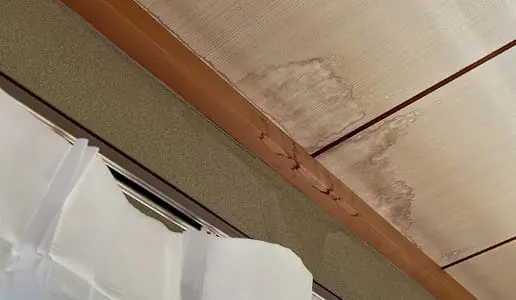 木材の継ぎ目から変色が進行し、修繕が必要な状況
