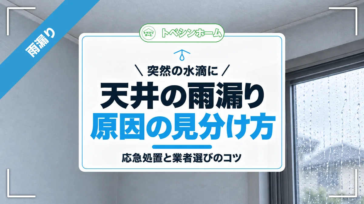 天井の雨漏りはどこから？原因の見分け方と応急処置・業者選びのコツまで解説